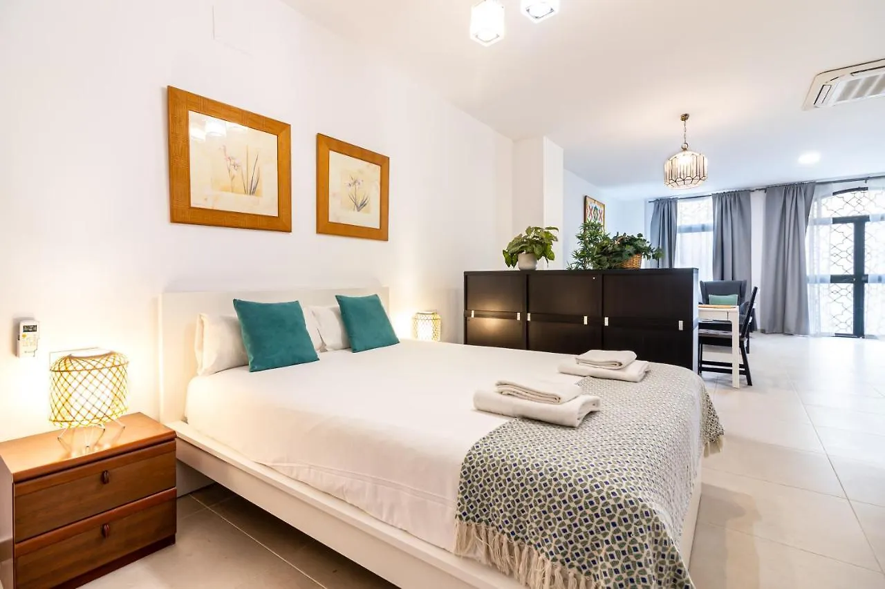 Malaga Center Flat. City Center Train Station Spain